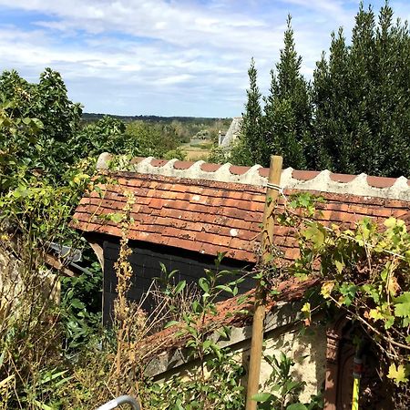 La Maison Bleue De Husseau Ancienne Ferme Semi-Troglodytique 18E Siecle Villa Montlouis-sur-Loire Exterior foto